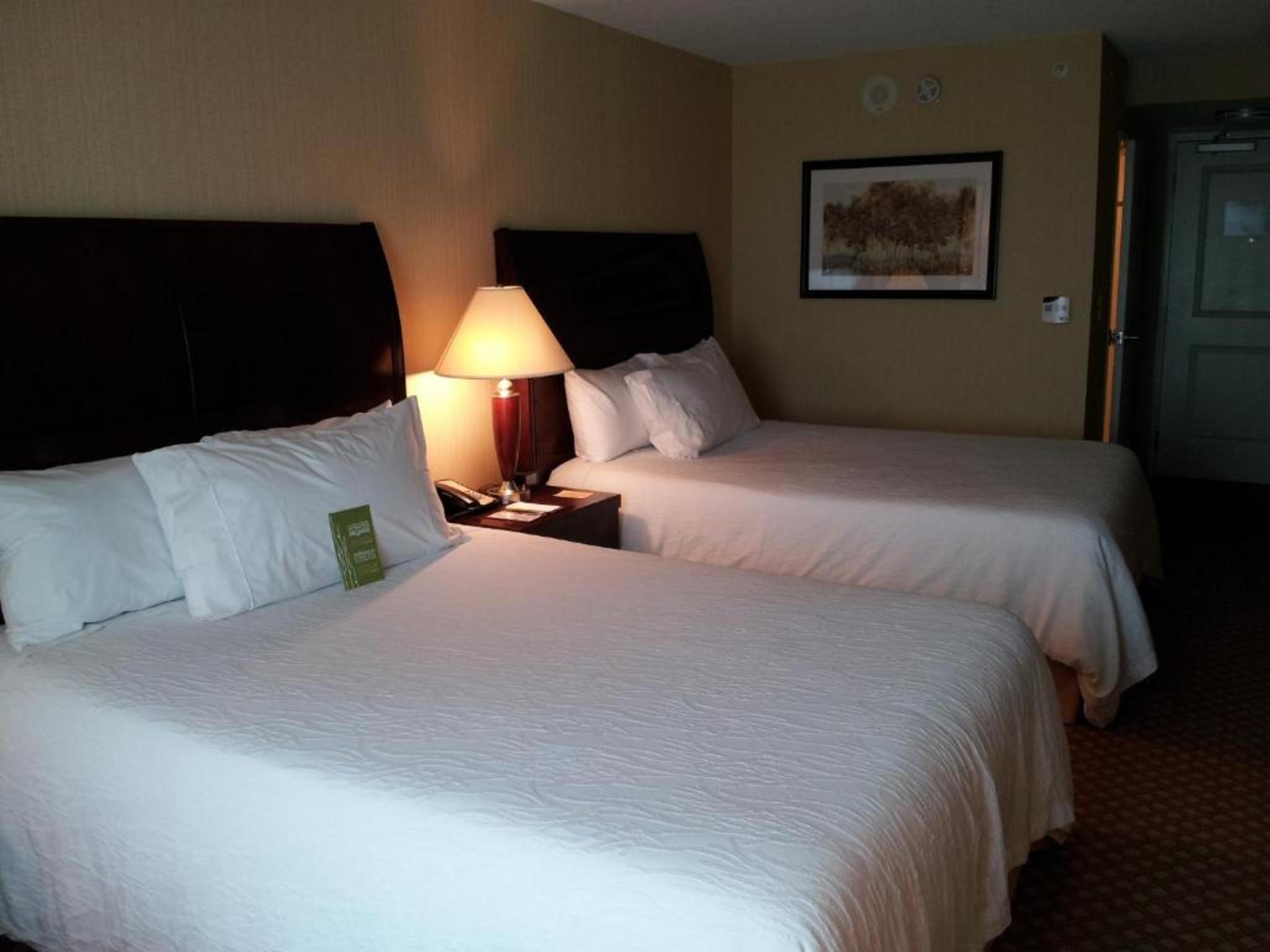 Hilton Garden Inn Toronto Airport Mississauga Bagian luar foto